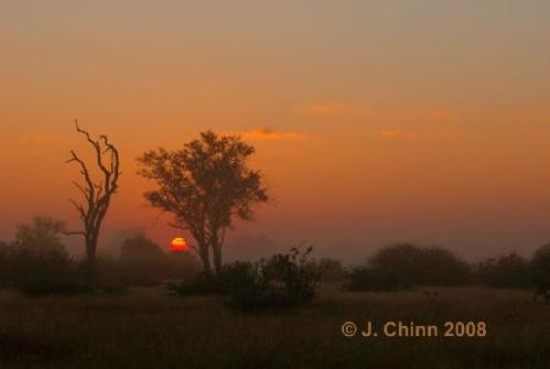 botswana-sunrise